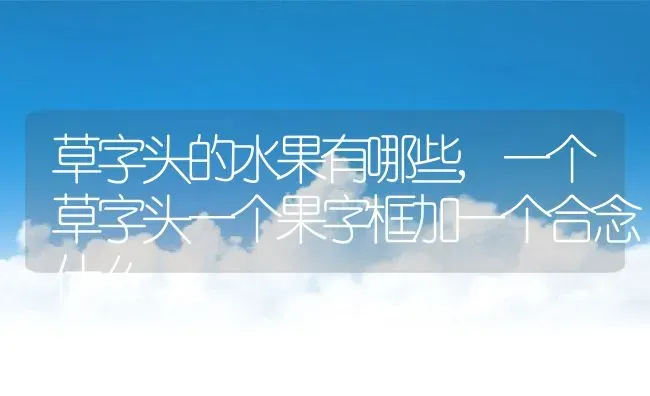 草字头的水果有哪些,一个草字头一个果字框加一个合念什么 | 养殖学堂