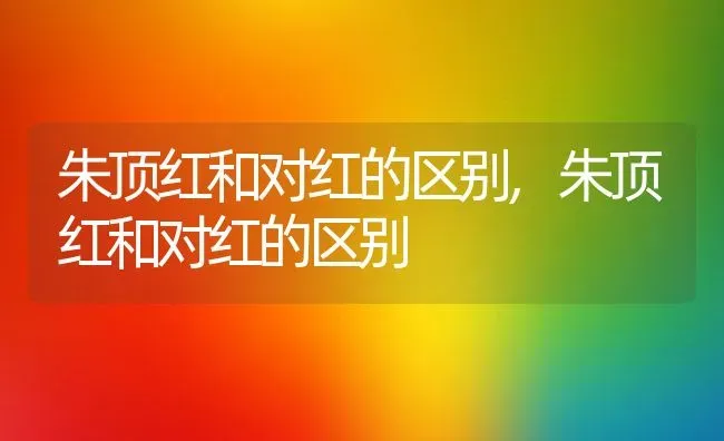 卷柏是什么植物类别,侧柏与卷柏的区别是什么？ | 养殖科普