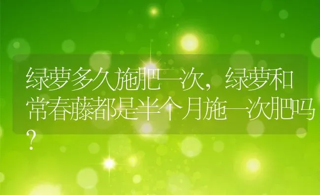 绿萝多久施肥一次,绿萝和常春藤都是半个月施一次肥吗？ | 养殖学堂