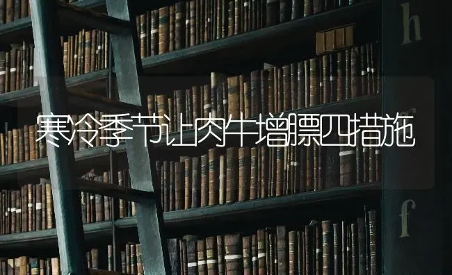 寒冷季节让肉牛增膘四措施 | 养殖知识