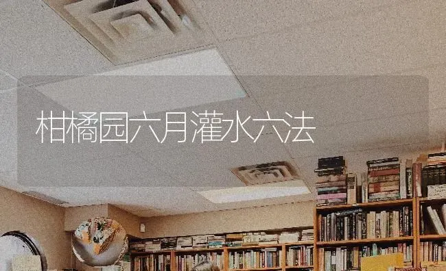 柑橘园六月灌水六法 | 养殖技术大全