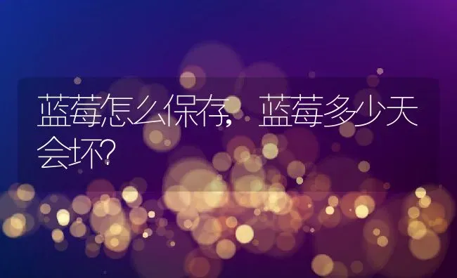 蓝莓怎么保存,蓝莓多少天会坏？ | 养殖科普