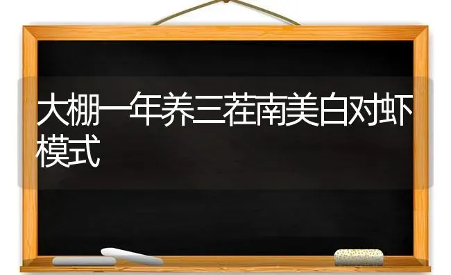 大棚一年养三茬南美白对虾模式 | 养殖知识