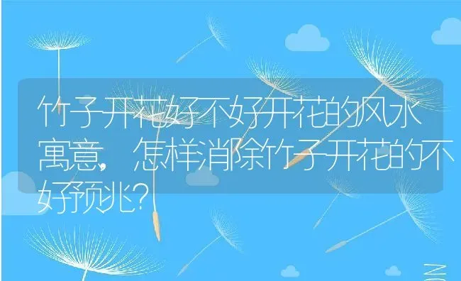 竹子开花好不好开花的风水寓意,怎样消除竹子开花的不好预兆？ | 养殖科普