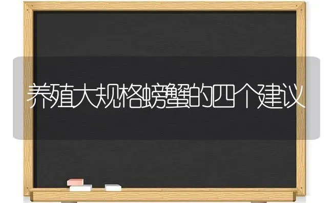 养殖大规格螃蟹的四个建议 | 养殖技术大全