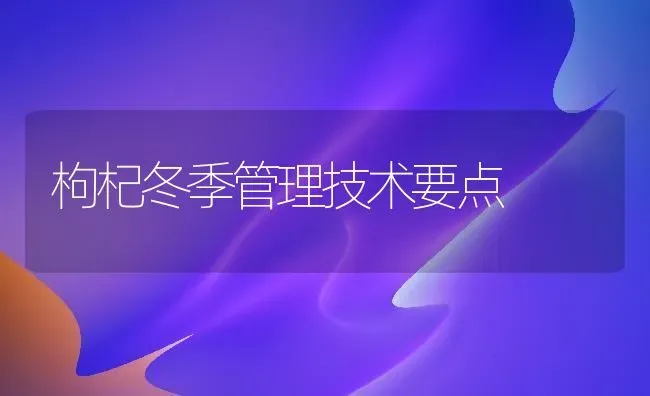 枸杞冬季管理技术要点 | 养殖技术大全