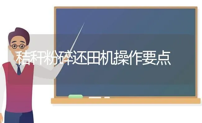 秸秆粉碎还田机操作要点 | 养殖技术大全