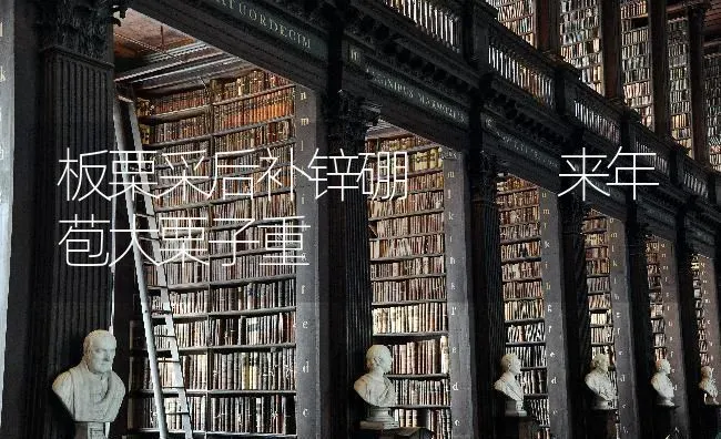 板栗采后补锌硼   来年苞大栗子重 | 养殖技术大全