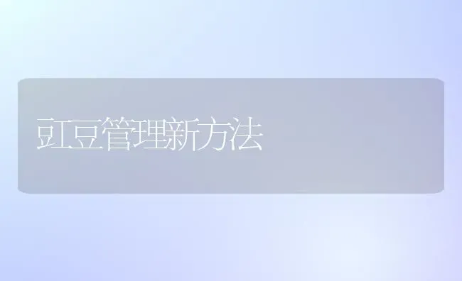 豇豆管理新方法 | 养殖知识