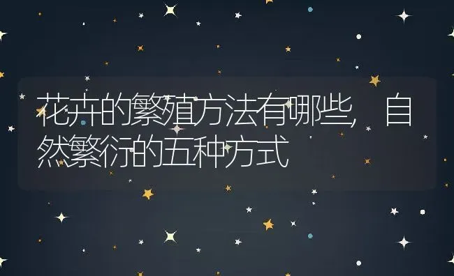 花卉的繁殖方法有哪些,自然繁衍的五种方式 | 养殖学堂