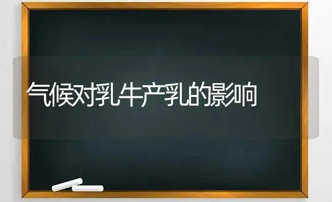 气候对乳牛产乳的影响 | 养殖技术大全