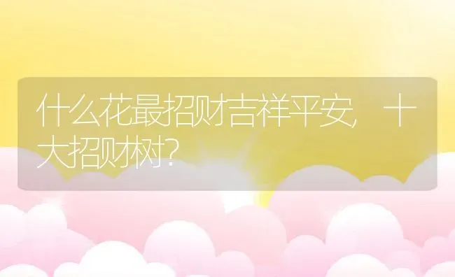 什么花最招财吉祥平安,十大招财树？ | 养殖科普