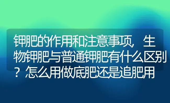钾肥的作用和注意事项,生物钾肥与普通钾肥有什么区别？怎么用做底肥还是追肥用 | 养殖学堂