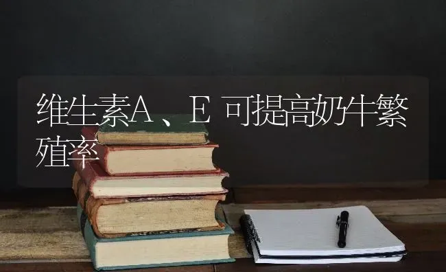 维生素A、E可提高奶牛繁殖率 | 养殖知识