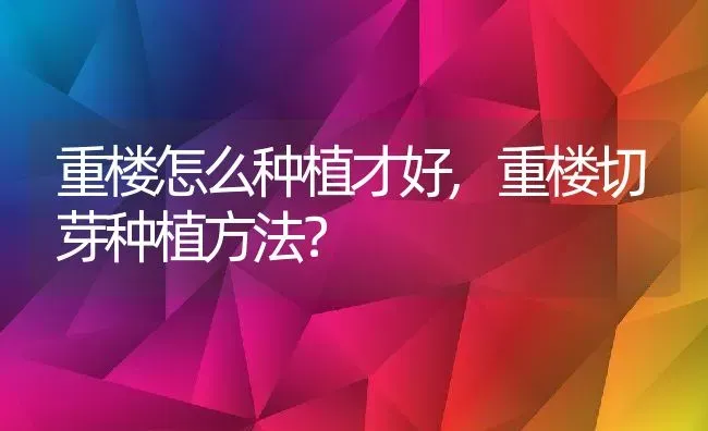 重楼怎么种植才好,重楼切芽种植方法？ | 养殖科普