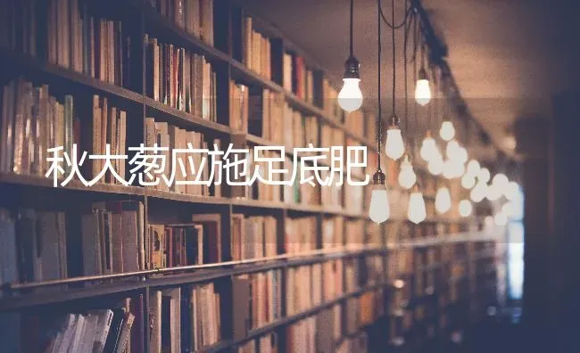 秋大葱应施足底肥 | 养殖技术大全