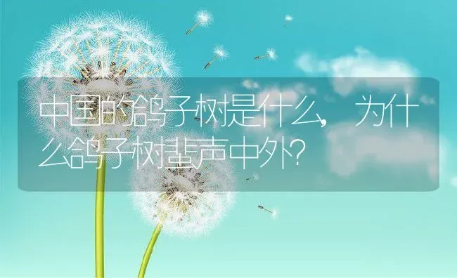 感冒可以洗澡吗,洗澡加重吗 | 养殖资料
