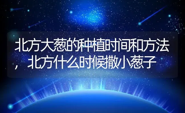 北方大葱的种植时间和方法,北方什么时候撒小葱子 | 养殖学堂