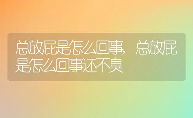 总放屁是怎么回事,总放屁是怎么回事还不臭 | 养殖资料