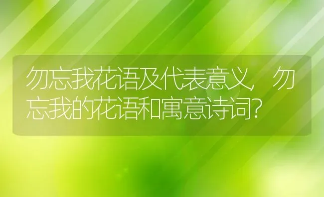勿忘我花语及代表意义,勿忘我的花语和寓意诗词？ | 养殖科普