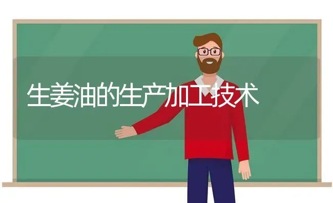 生姜油的生产加工技术 | 养殖技术大全