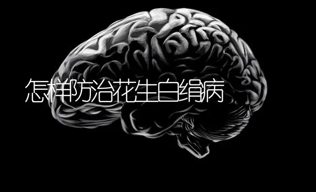 怎样防治花生白绢病 | 养殖技术大全