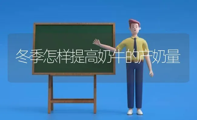 冬季怎样提高奶牛的产奶量 | 养殖技术大全