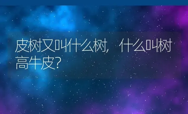 皮树又叫什么树,什么叫树高牛皮？ | 养殖科普