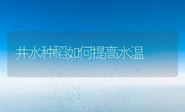 井水种稻如何提高水温 | 养殖知识