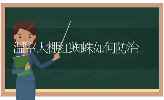 温室大棚红蜘蛛如何防治 | 养殖技术大全