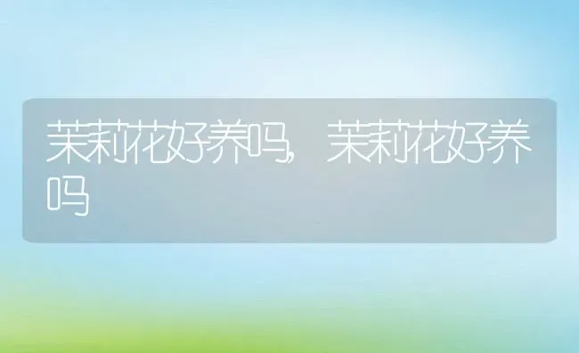 茉莉花好养吗,茉莉花好养吗 | 养殖科普