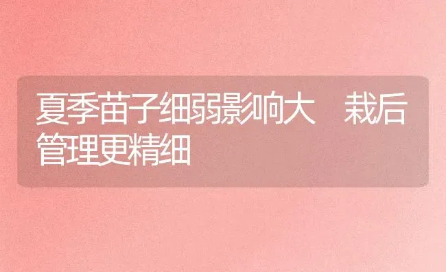 夏季苗子细弱影响大 栽后管理更精细 | 养殖技术大全