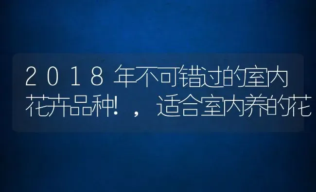 2018年不可错过的室内花卉品种!,适合室内养的花 | 养殖学堂