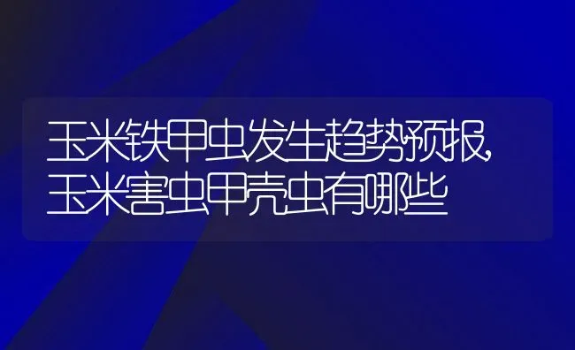玉米铁甲虫发生趋势预报,玉米害虫甲壳虫有哪些 | 养殖学堂