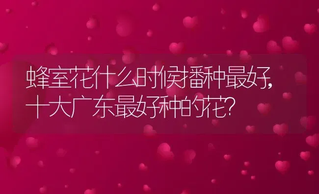 高杆月季冬天怎么修剪,老桩月季冬天怎么修剪？ | 养殖科普