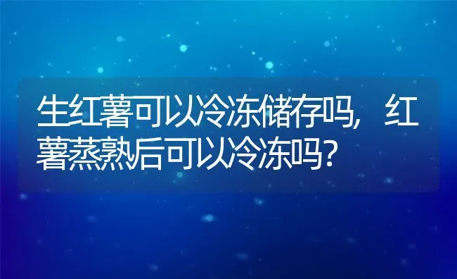 生红薯可以冷冻储存吗,红薯蒸熟后可以冷冻吗？ | 养殖科普