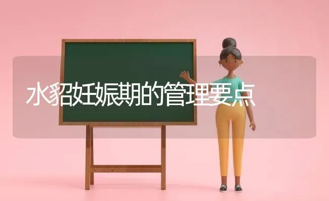 水貂妊娠期的管理要点 | 养殖技术大全