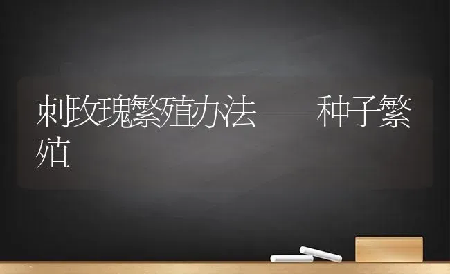 刺玫瑰繁殖办法——种子繁殖 | 养殖知识