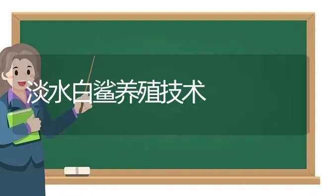 淡水白鲨养殖技术 | 养殖知识