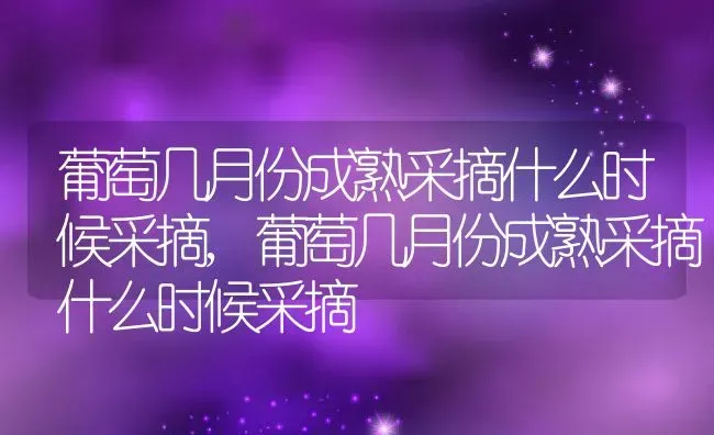 葡萄几月份成熟采摘什么时候采摘,葡萄几月份成熟采摘什么时候采摘 | 养殖科普