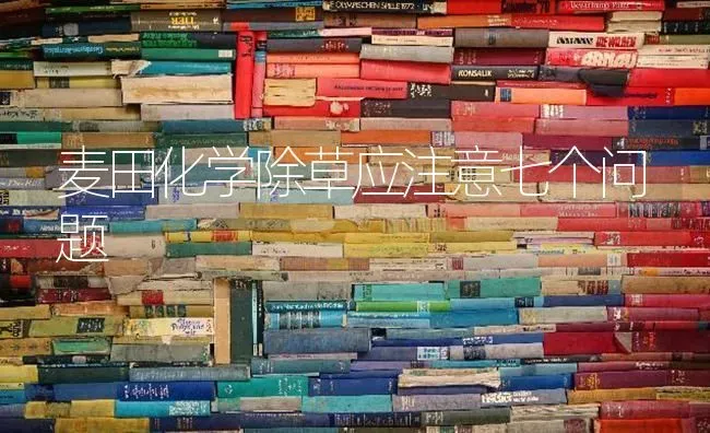麦田化学除草应注意七个问题 | 养殖知识
