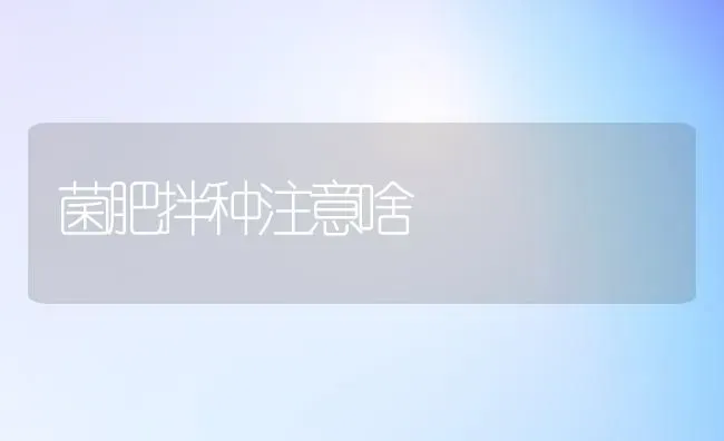 菌肥拌种注意啥 | 养殖知识