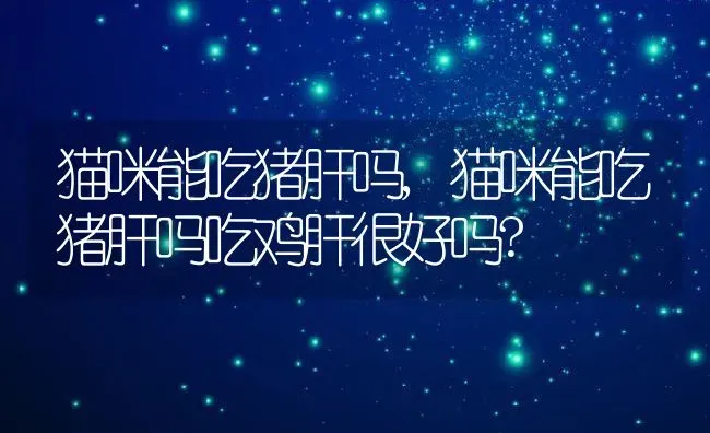 猫咪能吃猪肝吗,猫咪能吃猪肝吗吃鸡肝很好吗? | 养殖科普