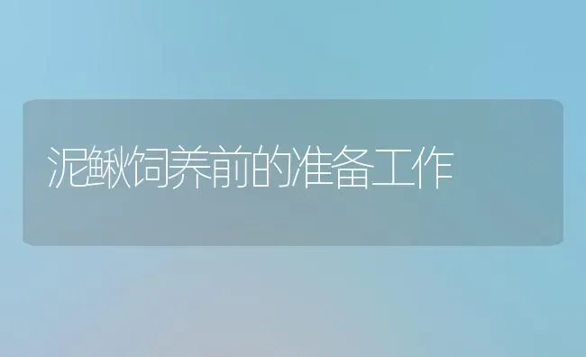 泥鳅饲养前的准备工作 | 养殖技术大全