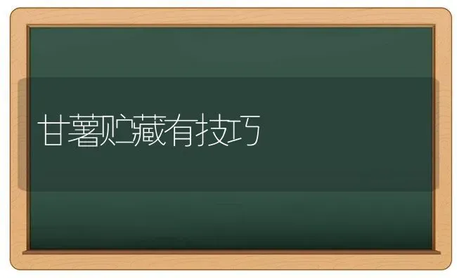 甘薯贮藏有技巧 | 养殖知识