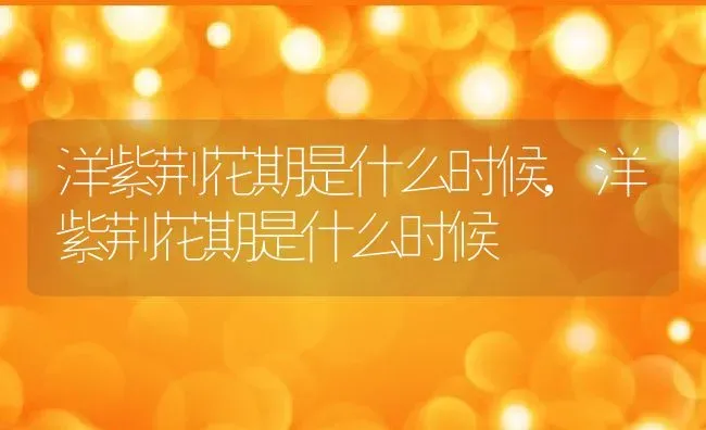 洋紫荆花期是什么时候,洋紫荆花期是什么时候 | 养殖科普
