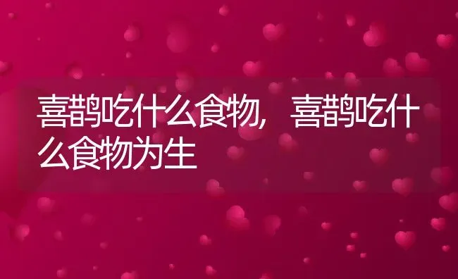 喜鹊吃什么食物,喜鹊吃什么食物为生 | 养殖科普