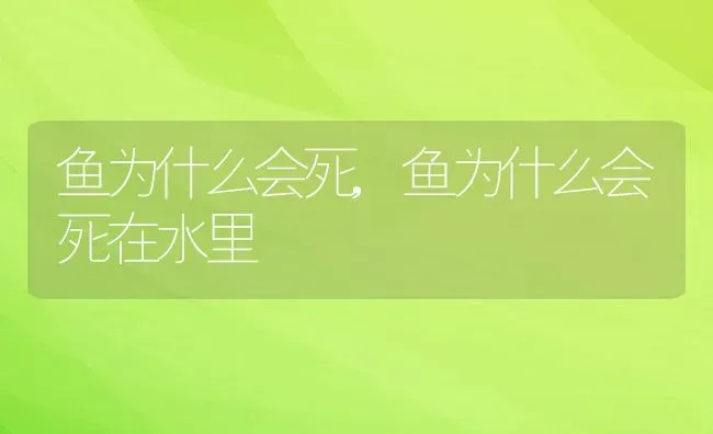 鱼为什么会死,鱼为什么会死在水里 | 养殖资料