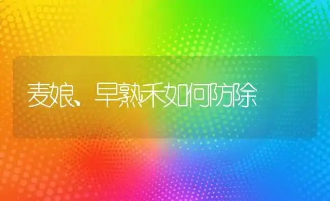 麦娘、早熟禾如何防除 | 养殖知识