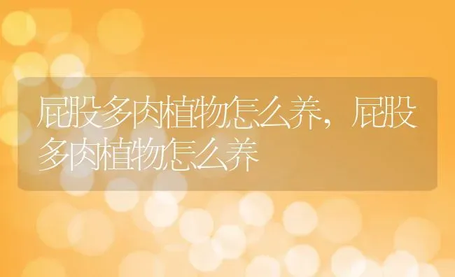 屁股多肉植物怎么养,屁股多肉植物怎么养 | 养殖科普